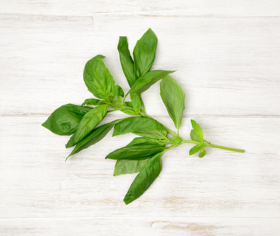 Buy 25g of Basil Online Fruit 4 London